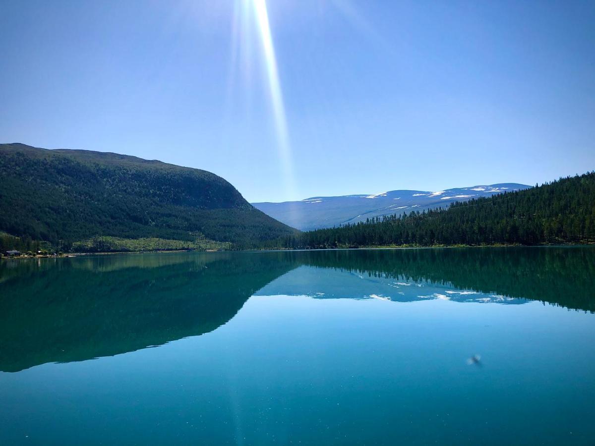 Reinheimen Lodge Skjak Bagian luar foto