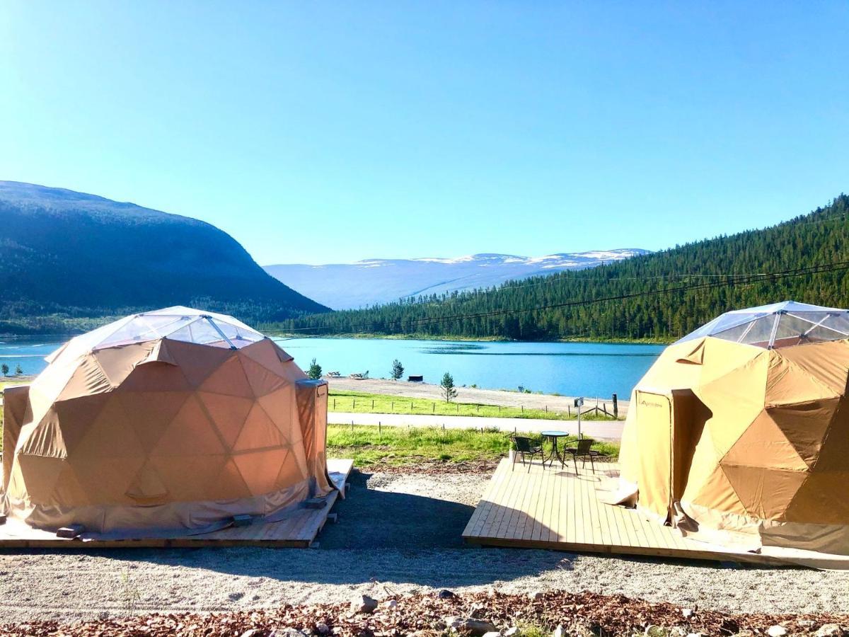 Reinheimen Lodge Skjak Bagian luar foto
