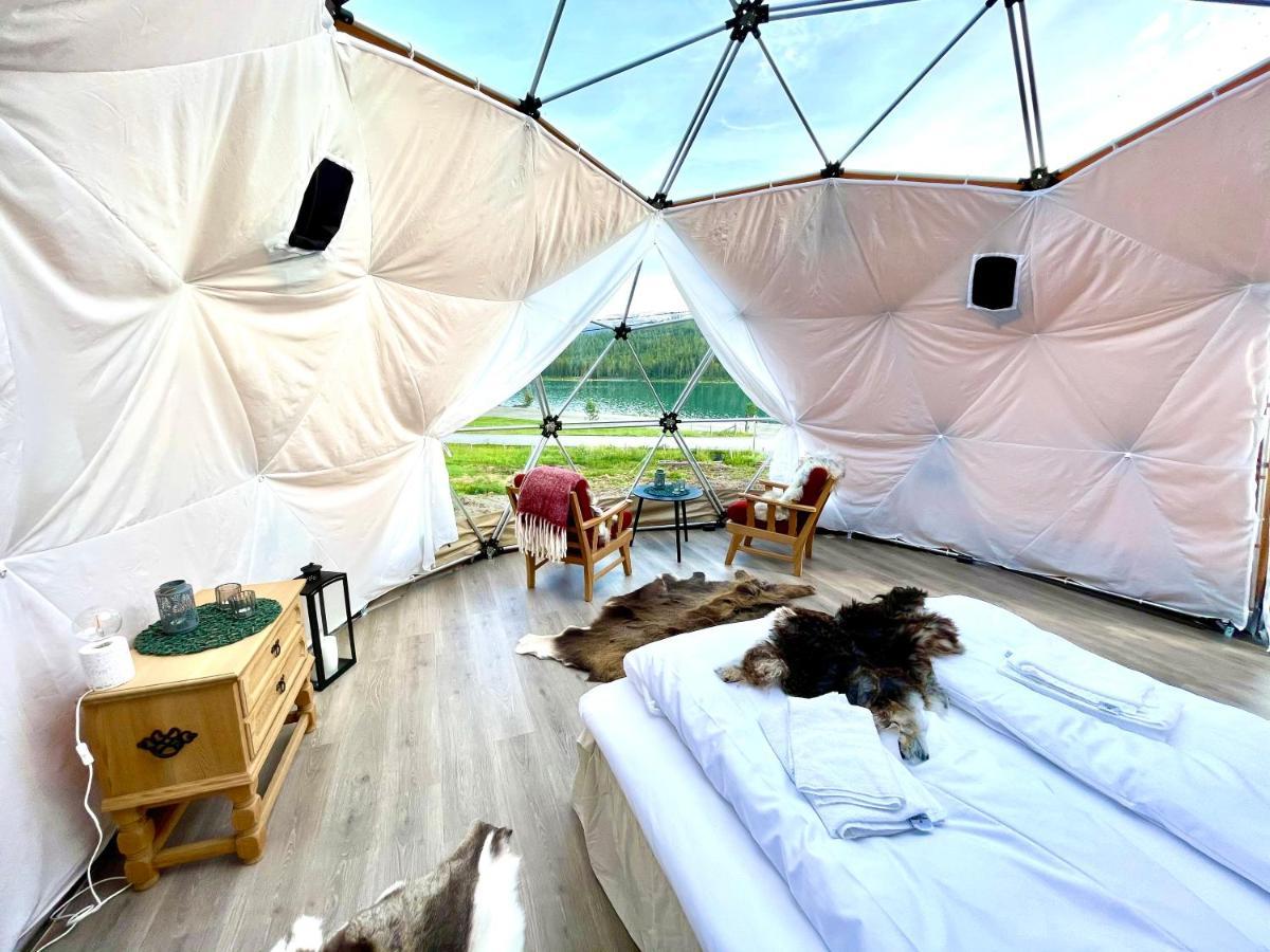 Reinheimen Lodge Skjak Bagian luar foto