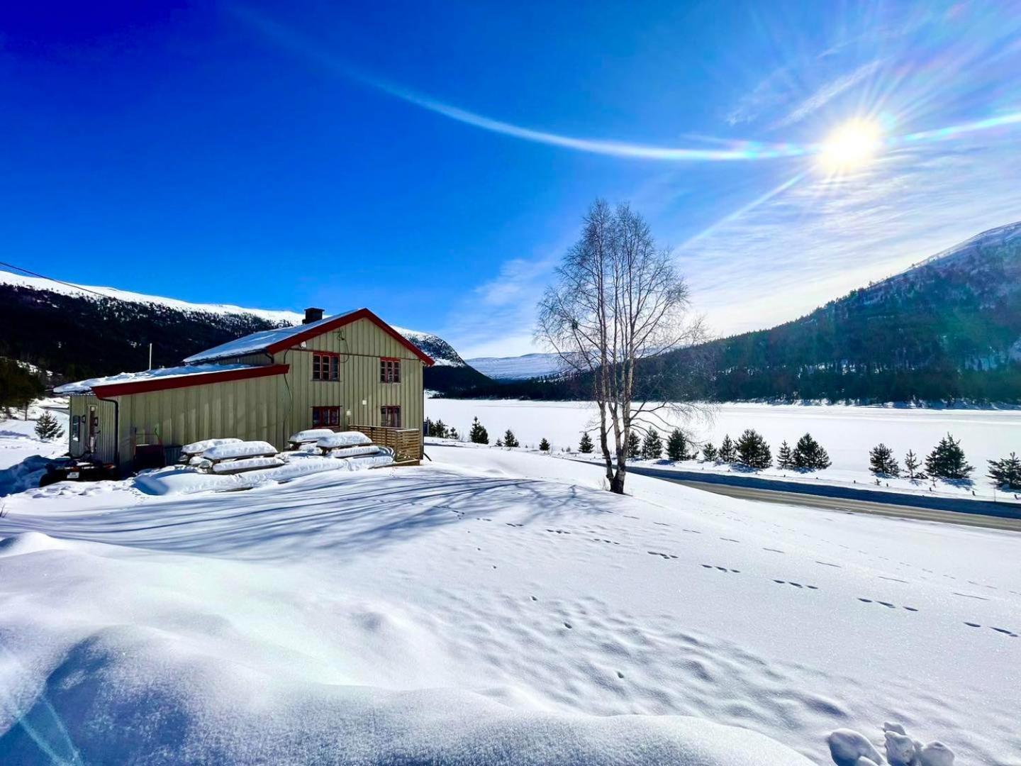 Reinheimen Lodge Skjak Bagian luar foto